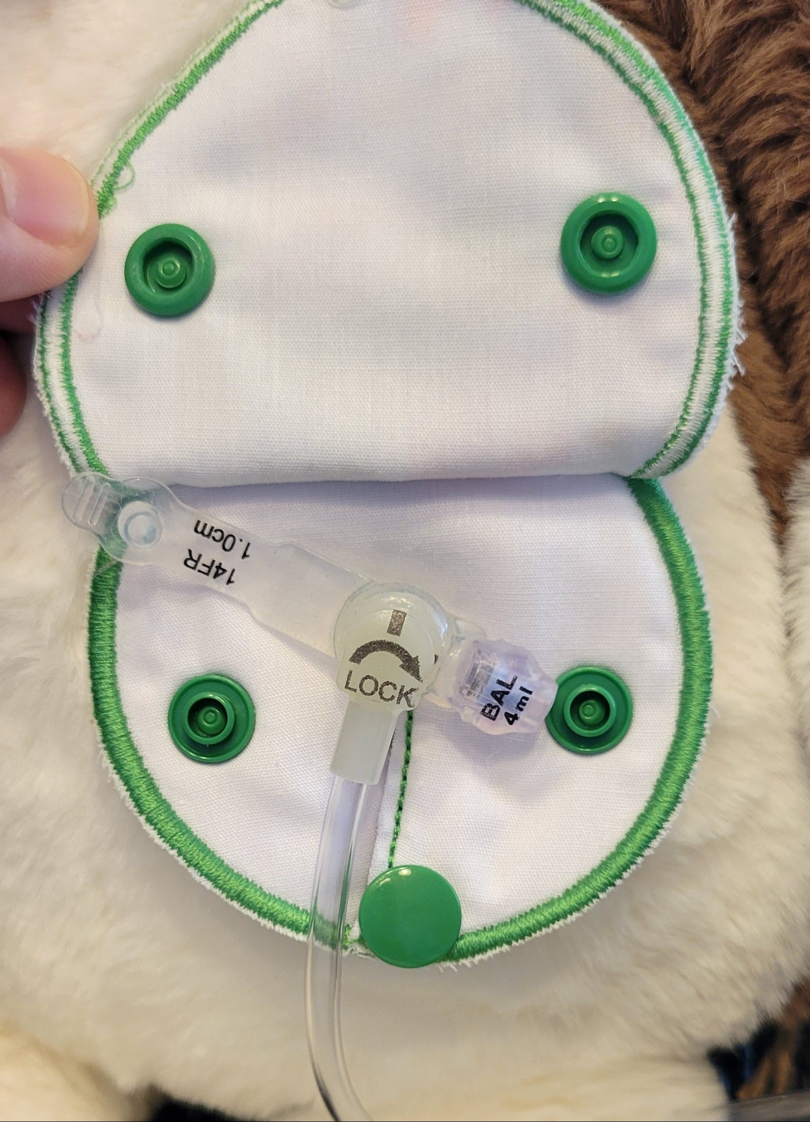 inside view of covered gtube pad on plush toy with gtube and extension
